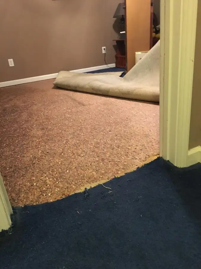 Carpet pad removal revealing water damage during Water Mitigation Services in Eldridge