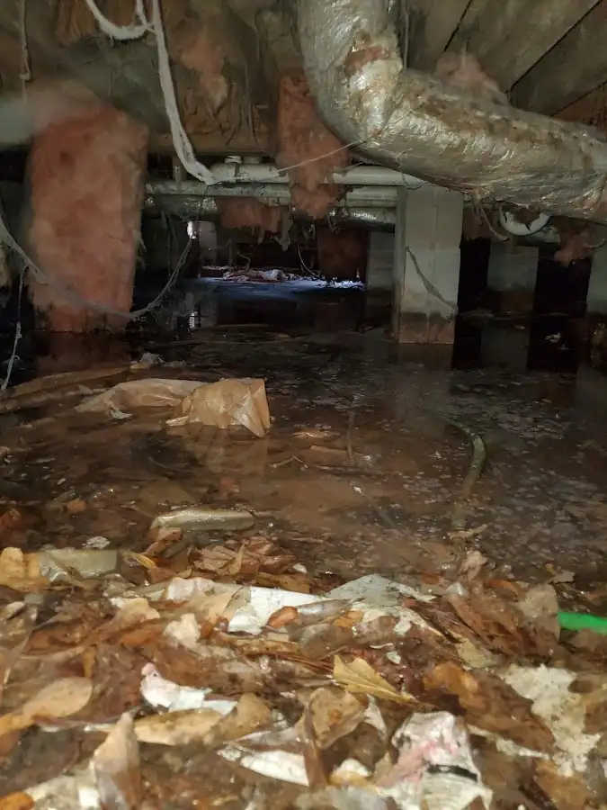 Crawl space flood assessment for Commercial Water Damage Restoration in Eldridge