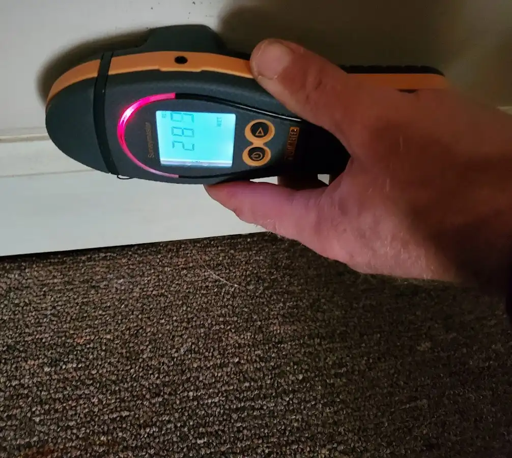 Moisture detection at baseboard during Sewage Cleanup & Sanitation in Eldridge